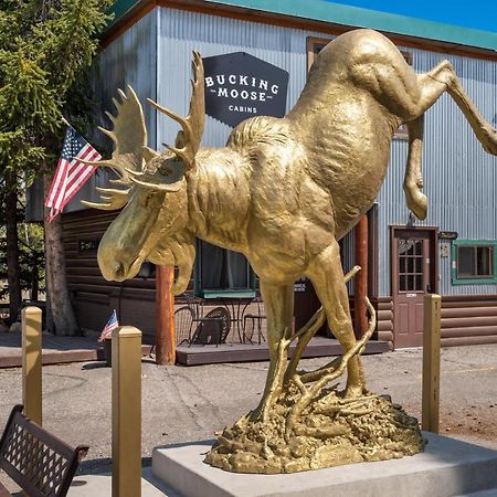 The Bucking Moose Hotel Уест Йелоустоун Екстериор снимка